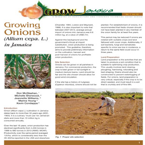 Growing_Onions_Technical_Guide_0.jpg