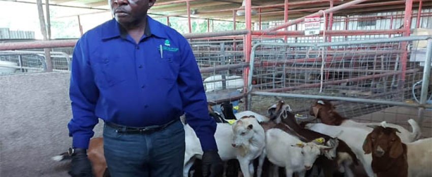 Agricultural stalwart, Mr. Albert Fearon