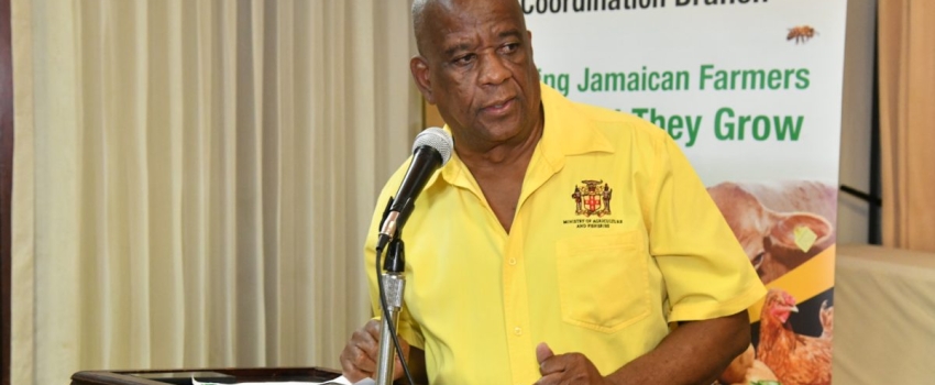 Minister of State in the Ministry of Agriculture, Fisheries and Mining, Hon. Franklin Witter addresses a Praedial Larceny Prevention Sensitization session on October 5 at the Alhambra Inn in Kingston.