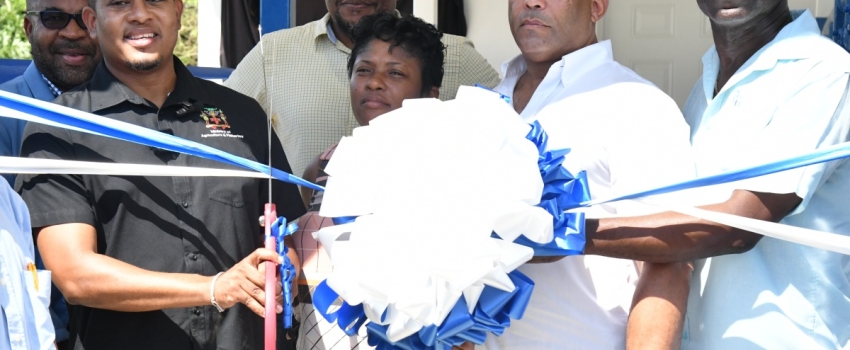 Minister of Agriculture, Fisheries and Mining, Hon. Floyd Green (left; foreground) leads a ribbon cutting exercise symbolising the official handover of  a communal milking parlour in Hillside, St. Thomas, on November 7. Joining the Minister are (from left) Chief Executive Officer of the Jamaica Dairy Development Board (JDDB), Devon Sayers; Chairman of the JDDB, Dr. Derrick Deslandes; Councillor Caretaker for the Seaforth Division, Sheroo Stevens; Member of Parliament for St. Thomas Western, James Robertson;