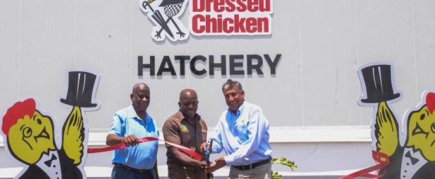 Minister of Agriculture and Fisheries, Hon. Pearnel Charles Jr. (centre) and Group President and Chief Executive Officer of Jamaica Broilers Group, Christopher Levy (right), cut the ribbon to mark the official reopening of Best Dressed Chicken’s Cumberland Hatchery in Portmore, St. Catherine, on Wednesday (May 10). Assisting is Minister of State in the Ministry of Agriculture and Fisheries, Hon. Franklin Witter. The reopening followed an almost $200-million upgrade of the facility, which has increased capac