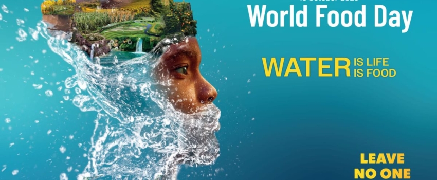 The Ministry of Agriculture, Fisheries and Mining in collaboration with the Food and Agriculture Organization (FAO) will be hosting a Word Food Day ceremony and exposition a the Newell High School in St. Elizabeth on Thursday, October 19, 2023.