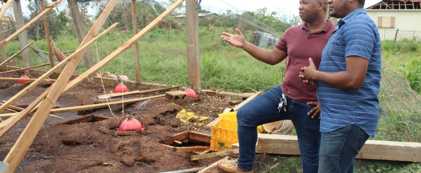 Minister of Agriculture, Fisheries and Mining, Hon. Floyd Green (right) is shown what remains of one of the poultry houses owned by the owner of Sandy Ridge Farms Ltd, Christopher Blake, during a tour of farms and agricultural infrastructure in St. Elizabeth on Saturday, July 6, to assess the damage from Hurricane Beryl.