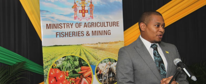 Minister of Agriculture, Fisheries and Mining, Hon. Floyd Green, speaking during a press briefing held at the Ministry's Hope Complex Office on January 31. 