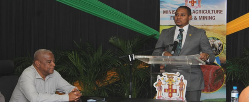 Minister of Agriculture, Fisheries and Mining, Hon. Floyd Green, speaking during a press briefing held at the Ministry's Hope Complex Office on January 31.