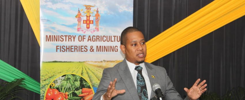 Minister of Agriculture, Fisheries and Mining, Hon. Floyd Green, speaking during a press briefing held at the Ministry's Hope Complex Office on January 31. 