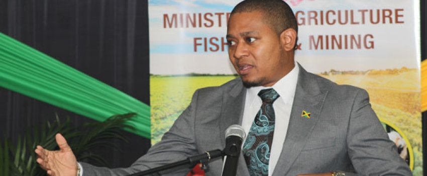 Minister of Agriculture, Fisheries and Mining, Hon. Floyd Green, speaking during a press briefing held at the Ministry's Hope Complex Office on January 31. 