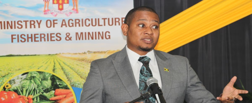 Minister of Agriculture, Fisheries and Mining, Hon. Floyd Green, speaking during a press briefing held at the Ministry's Hope Complex Office on January 31.
