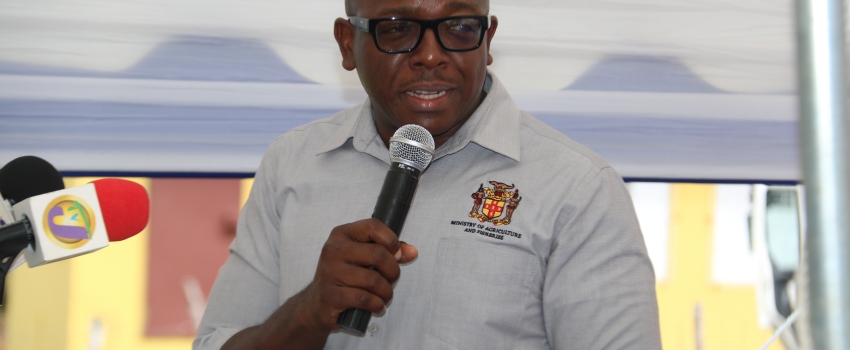 Minister of Agriculture and Fisheries, Hon. Pearnel Charles Jr, addresses the official launch of the Hague Agricultural and Industry Show in Falmouth, Trelawny on February 8.