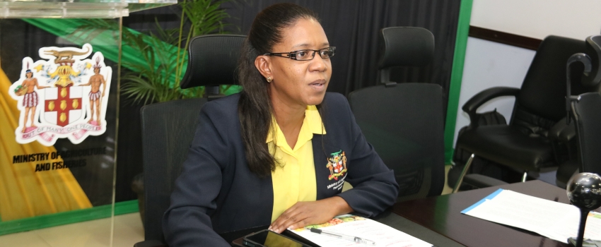 Mrs. Karen Barrett Christie, Entomologist-Identifier at the Ministry of Agriculture and Fisheries’ Plant Quarantine and Plant Inspection Branch (PQPI), speaking at the Fresh Produce Exporters’ Forum on Tuesday, February 14, 2023.