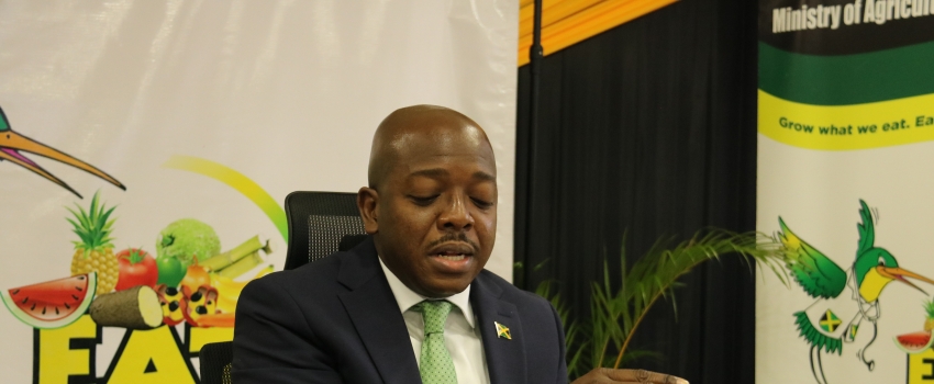 Minister of Agriculture and Fisheries, Pearnel Charles Jr, speaking at the virtual Jamaica Blue Mountain Coffee Day event