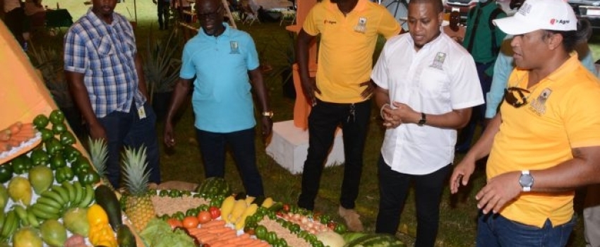Minister of Agriculture, Fisheries and Mining, Hon. Floyd Green (second right), observes a fruit and vegetable display at the Rural Agricultural Development Authority (RADA) St. Elizabeth Open Day Agrifest at the Social Development Commission (SDC) complex in Santa Cruz, on June 9. Also looking on are (from left) Director of Minerals, Land and Environmental Management in the Ministry, Dorlan Burrell; RADA Acting Chief Executive Officer, Winston Simpson; RADA St. Elizabeth Deputy Parish Manager, Jermaine Wil