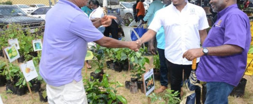 Minister of Agriculture, Fisheries and Mining, Hon. Floyd Green (second right), greets Farmer, Paul Lee (left), while Permanent Secretary in the Ministry, Dermon Spence (right), looks on. Occasion was the Rural Agricultural Development Authority’s (RADA) St. Elizabeth ‘Agrifest’ at the Social Development Commission (SDC) Complex in Santa Cruz, St. Elizabeth, on June 9.