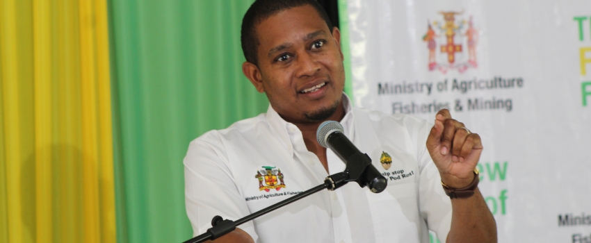 Minister of Agriculture, Fisheries and Mining, Hon. Floyd Green