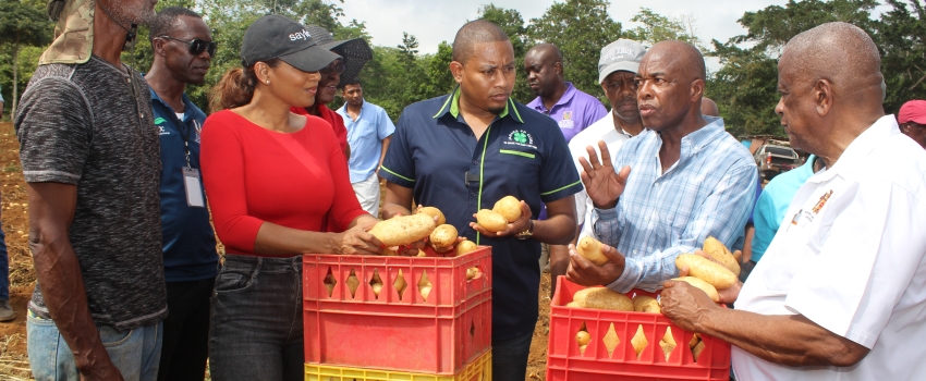 Hon. Floyd Green, Lisa Hanna,  Locksley Waites
