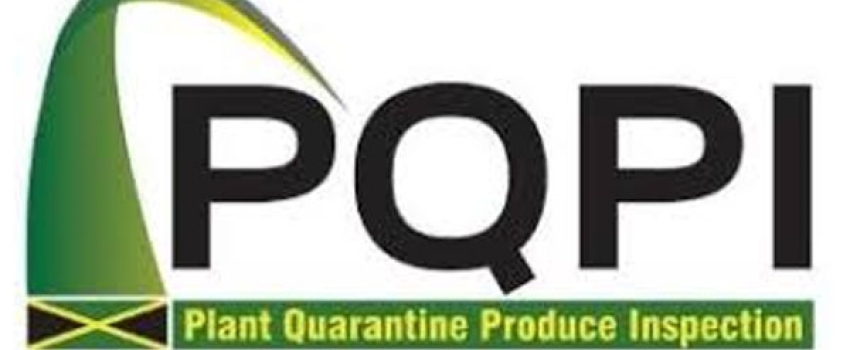 Plant Quarantine and Produce Inspection (PQPI) Branch