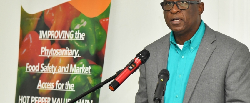 Chief Technical Director in the Ministry of Agriculture, Fisheries and Mining, Orville Palmer, delivers a speech on behalf of Minister of State, Hon. Franklin Witter, at the Fresh Produce Exporters Forum on Monday (March 25), at the Medallion Hall Hotel in Kingston.