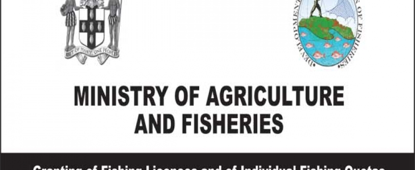 sea cucumber licences