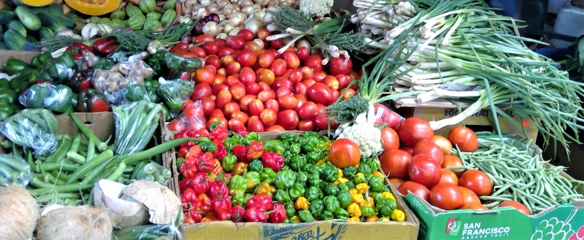 Agriculture Ministry Allocated $21.25 Billion for 2023/24 Fiscal Year