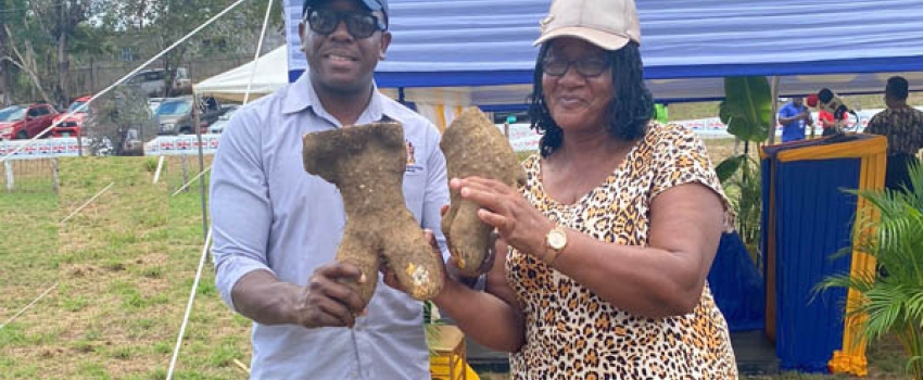 Minister of Agriculture and Fisheries, Hon. Pearnel Charles Jr, receives yellow yam from Jamaica Agricultural Society Thompson Town Branch member, Althea Pryce, at the official launch of the Hague Agricultural and Livestock Show in Trelawny on Wednesday, February 8, 2023.