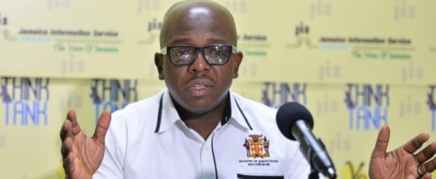 Minister of Agriculture and Fisheries, Hon. Pearnel Charles Jr., speaking during a Jamaica Information Service (JIS) ‘Think Tank’ at the Agency’s Head Office in Kingston, on April 13.