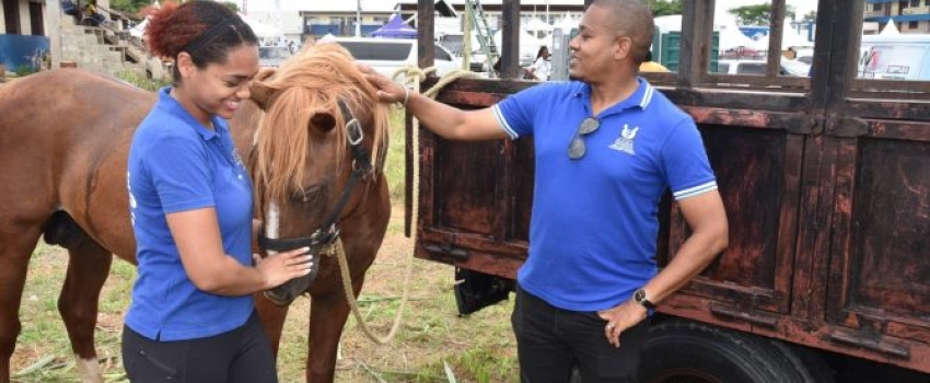 Minister of Agriculture, Fisheries and Mining, Hon. Floyd Green, examines Quiet Storm, a chestnut stallion owned by Dr. Arielle Foote (left), daughter of Westmoreland Veterinarian, Dr. Dingle Foote, during the Westmoreland Agricultural Show 2023, at Manning’s School in Savanna-la-Mar, Westmoreland, on May 28.