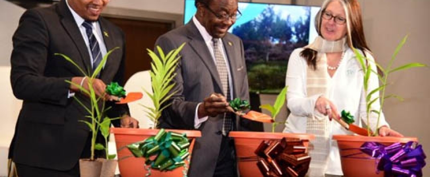 Minister of Agriculture, Fisheries and Mining, Hon. Floyd Green (left), plants spice seedlings along with United States Ambassador to Jamaica, His Excellency Nick Perry (centre), and President and Chief Executive Officer, Agricultural Cooperative Development International/Volunteers in Overseas Cooperative Assistance (ACDI/VOCA), Sylvia Megret. Occasion was the launch of the Food for Progress Jamaica Spices project at the AC Hotel by Marriott Kingston on Thursday (June 1).