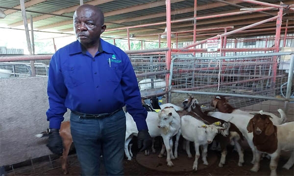 Agricultural stalwart, Mr. Albert Fearon