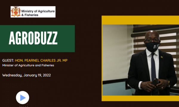 Hon. Pearnel Charles Jr previews plans for the Ministry