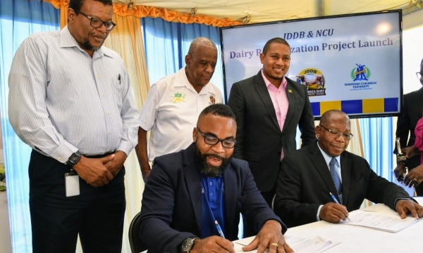 Minister of Agriculture, Fisheries and Mining, Hon. Floyd Green (back row right) and State Minister in the Ministry, Hon. Franklin Witter (back row centre) observe as Chief Executive Officer, Jamaica Dairy Development Board (JDDB), Devon Sayers (seated left) and President of the Northern Caribbean University (NCU), Dr. Lincoln Edwards (seated right), sign a partnership agreement for the JDDB- NCU Dairy Revitalization Project at the institution on Thursday (March 28). Also, present is Chairman, JDDB, Dr. Der