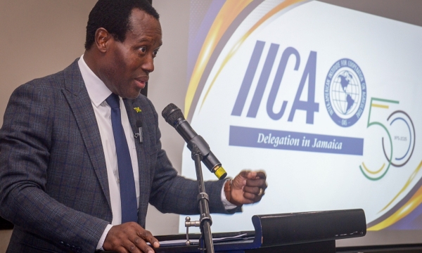 Chief Technical Director (CTD) for Special Projects in the Ministry of Agriculture, Fisheries and Mining, Courtney Cole, delivers the keynote address on behalf of Portfolio Minister, Hon. Floyd Green, during the Inter-American Institute for Cooperation on Agriculture (IICA) Jamaica Delegation’s 50th anniversary celebration at The Jamaica Pegasus hotel in New Kingston on Friday (June 27).