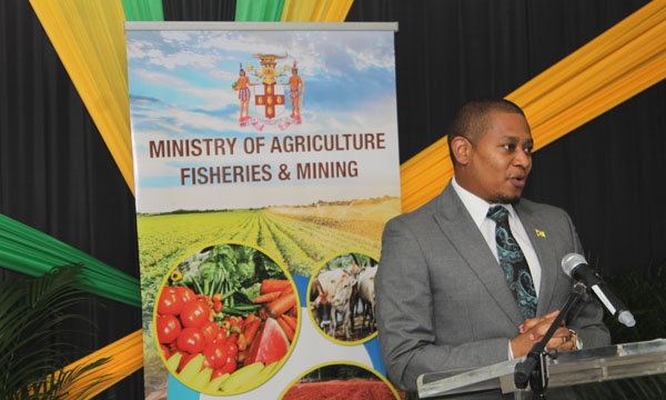 Minister of Agriculture, Fisheries and Mining, Hon. Floyd Green, speaking during a press briefing held at the Ministry's Hope Complex Office on January 31. 