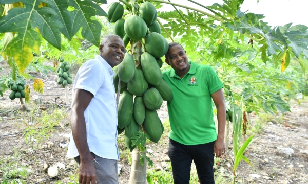 Minister of Agriculture, Fisheries and Mining, Hon. Floyd Green (right) and owner of ANR Farms Limited in Trelawny, Adrian Robinson share a moment during a tour of Mr. Robinson's farm on January 25, 2024.