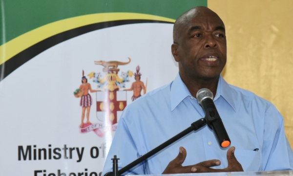 Senior Agronomist, at the Rural Agricultural Development Authority (RADA), Locksley Waites