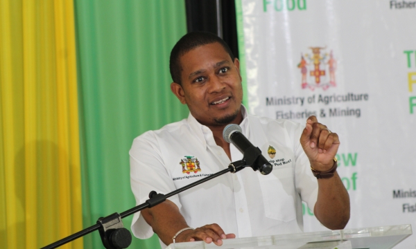 Minister of Agriculture, Fisheries and Mining, Hon. Floyd Green