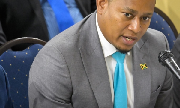 Minister of Agriculture, Fisheries and Mining, Hon. Floyd Green addresses the sitting of the Standing Finance Committee of the House of Representatives on Wednesday (March 6).