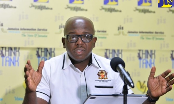 Minister of Agriculture and Fisheries, Hon. Pearnel Charles Jr., speaking during a Jamaica Information Service (JIS) ‘Think Tank’ at the Agency’s Head Office in Kingston, on April 13.